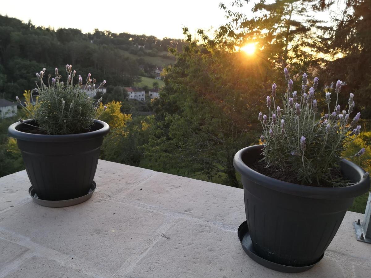 Chambre Meublee Avec Vue Panoramique A Perigueux Sanilhac  Bagian luar foto
